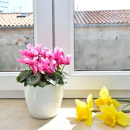 Luna Appartement